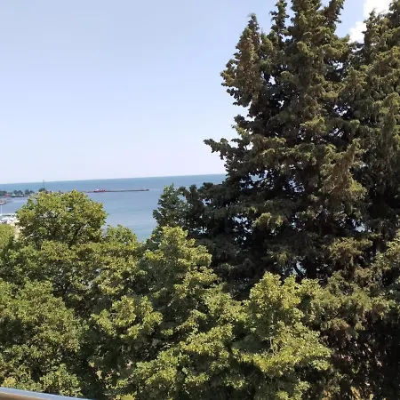 Panorama Vigo In شقة